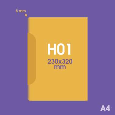 Pochette plastique personnalisée H01