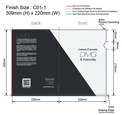 AVOCAT 01 - Pochette Plastique Couleur personnalisée